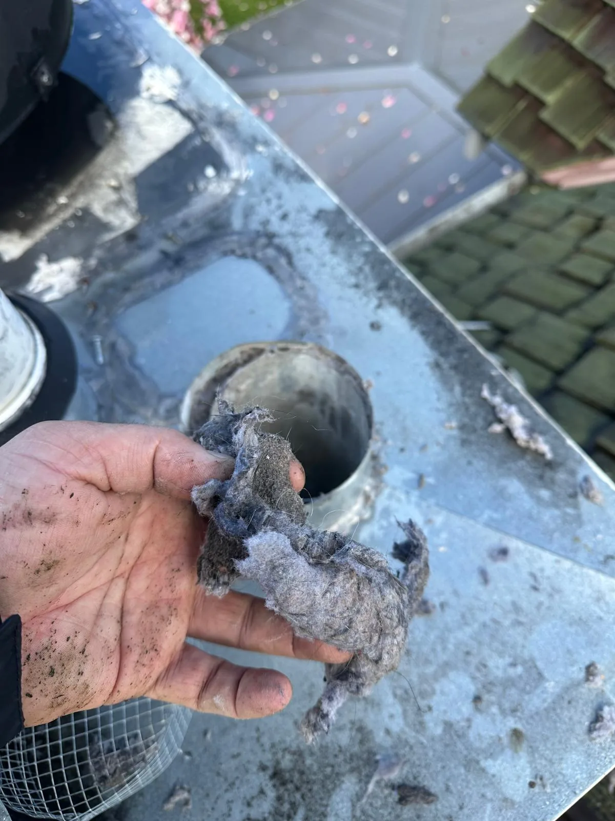 Lint buildup cleared from rooftop dryer vent