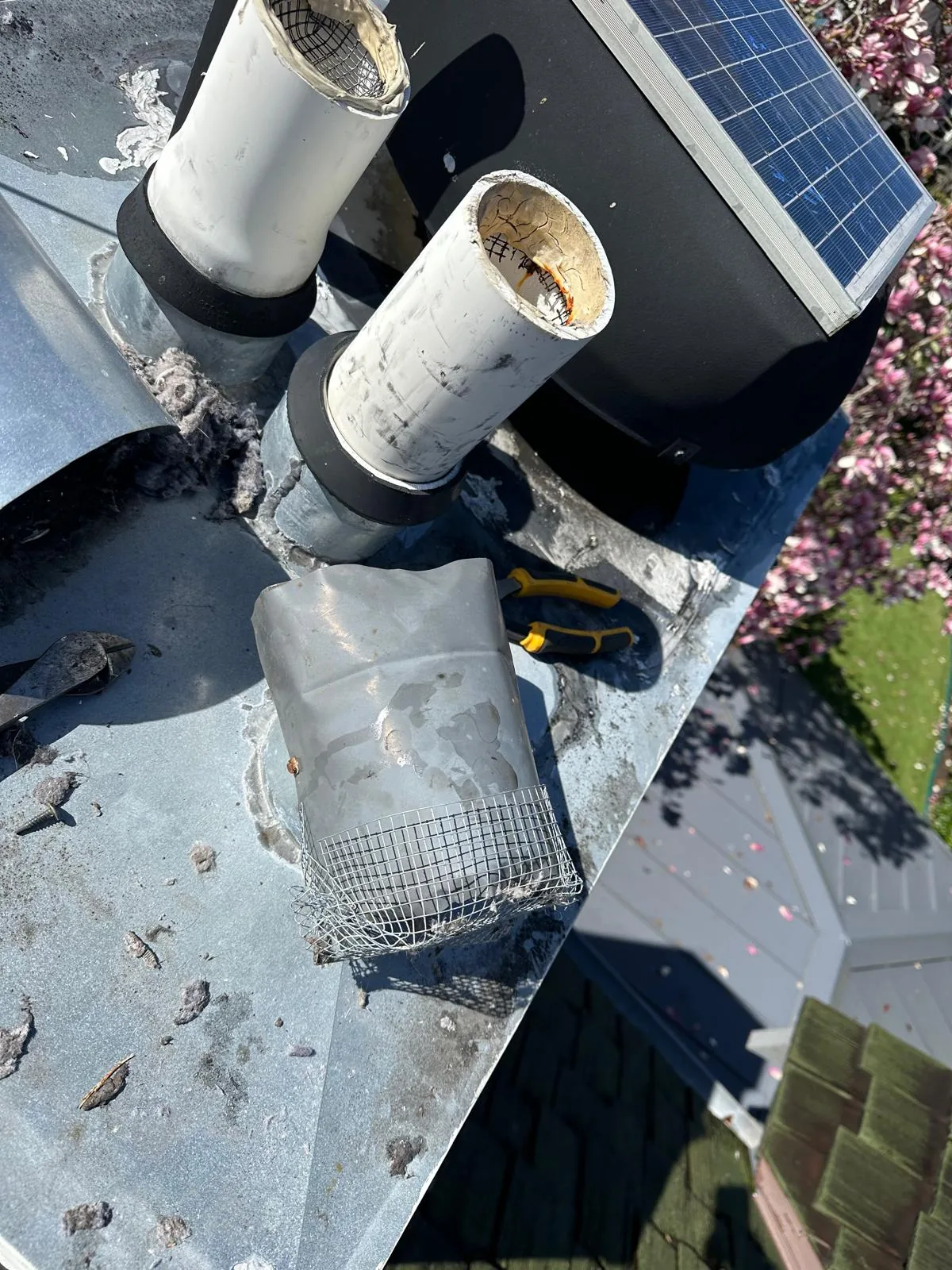 Dryer vent cap cleaned and exhaust flowing freely