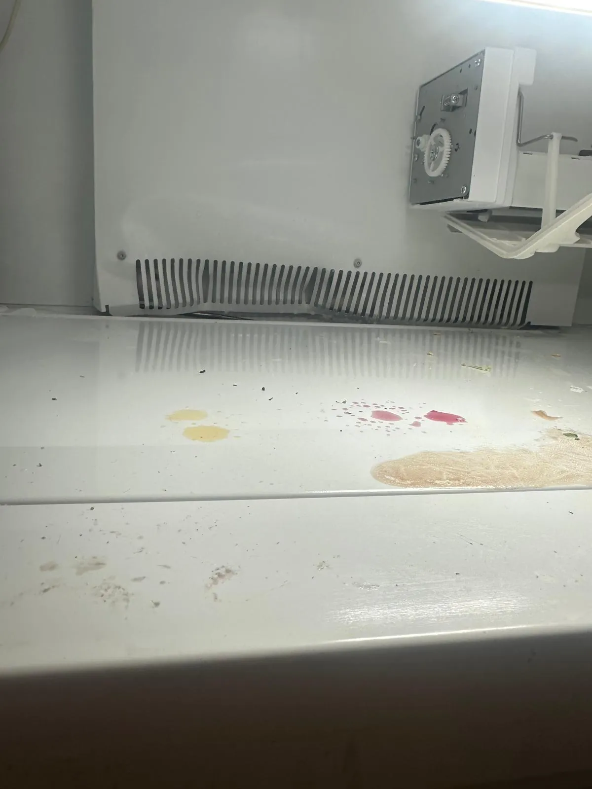 Sub-Zero refrigerator interior and coil cover area inspected during repair