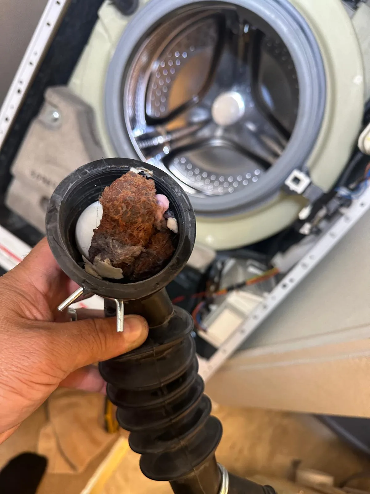 Blockage found inside the drain hose and boot of a Whirlpool washer